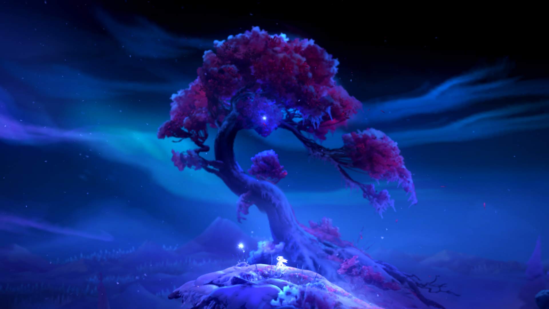 Ori and The Will of The Wisp - Nintendo Switch Game | Action-Adventure Platformer | Explore Enchanted Forests & Solve Puzzles | Perfect for Family Gaming & Handheld Play