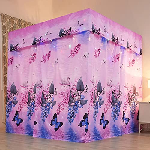 Pink-purple Butterfly
