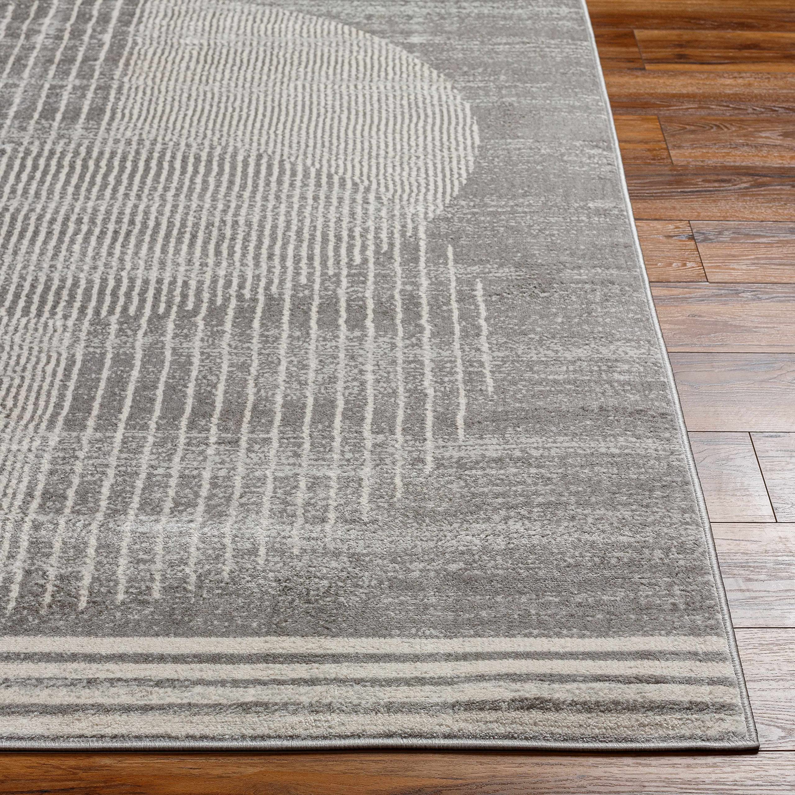 Beauregard Modern Gray Area Rug 5'3