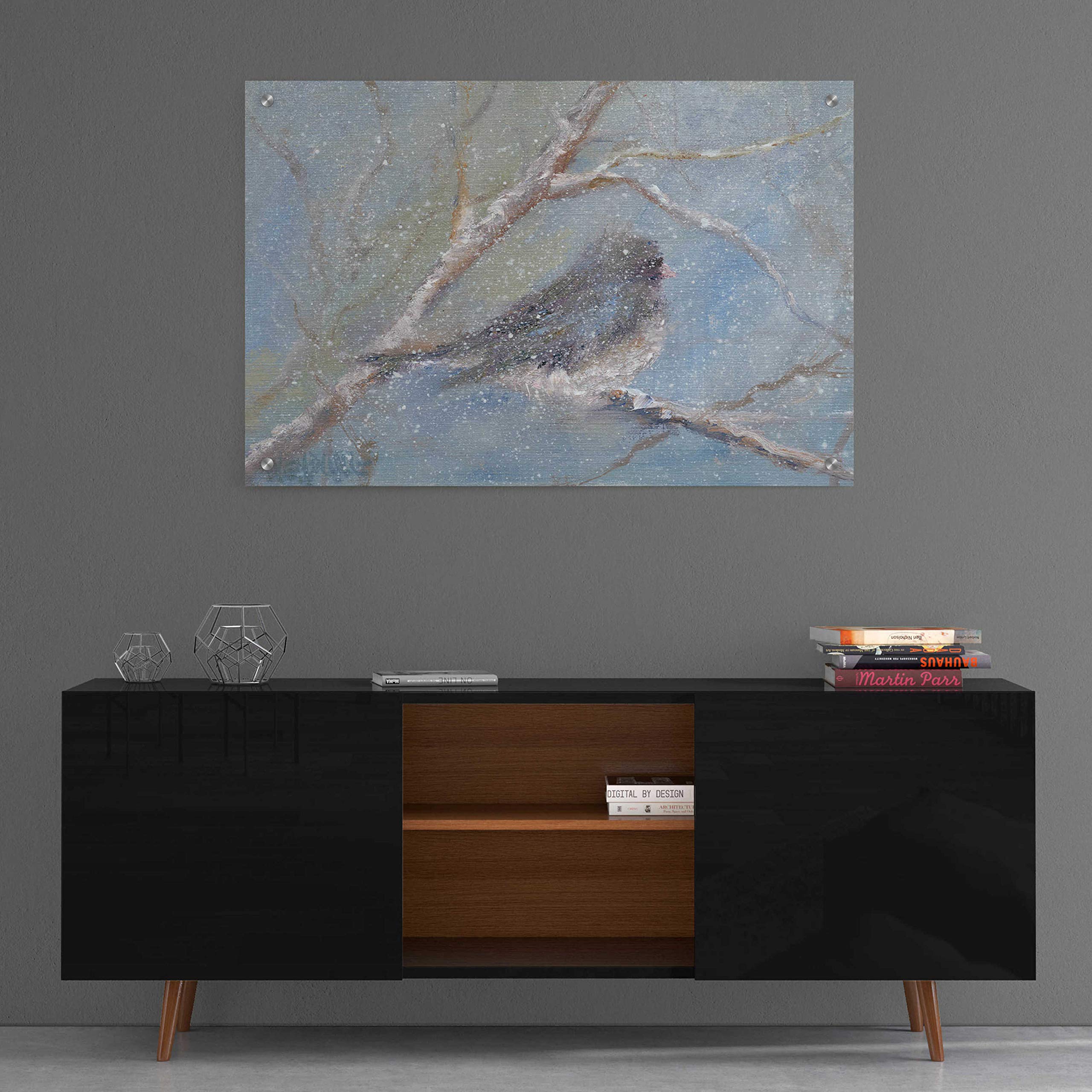 Epic Art 'Chance of Snow II' by Marilyn Wendling - 36x24 Inch Acrylic Glass Wall Decor - Perfect for Living Room, Bedroom & Office Modern Art Display