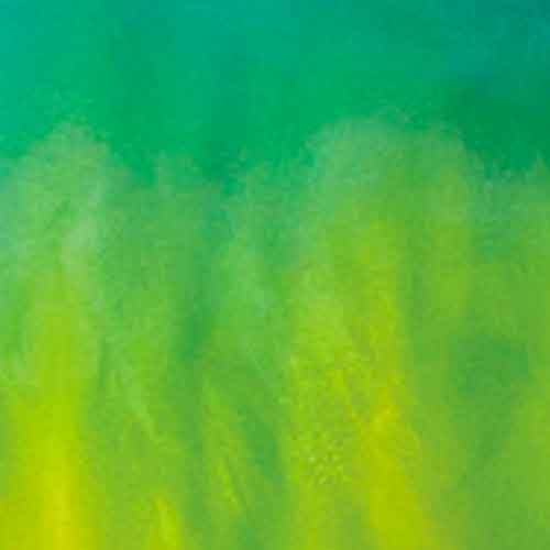 Emerald Green/Sulpher Green