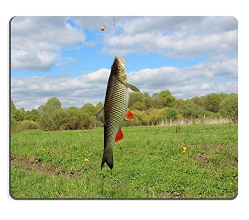 17P02596 Creative Gaming Mouse Pad with Beautiful Fish Design - Non-Slip Surface for PC, Laptop, Office & Gaming Setup