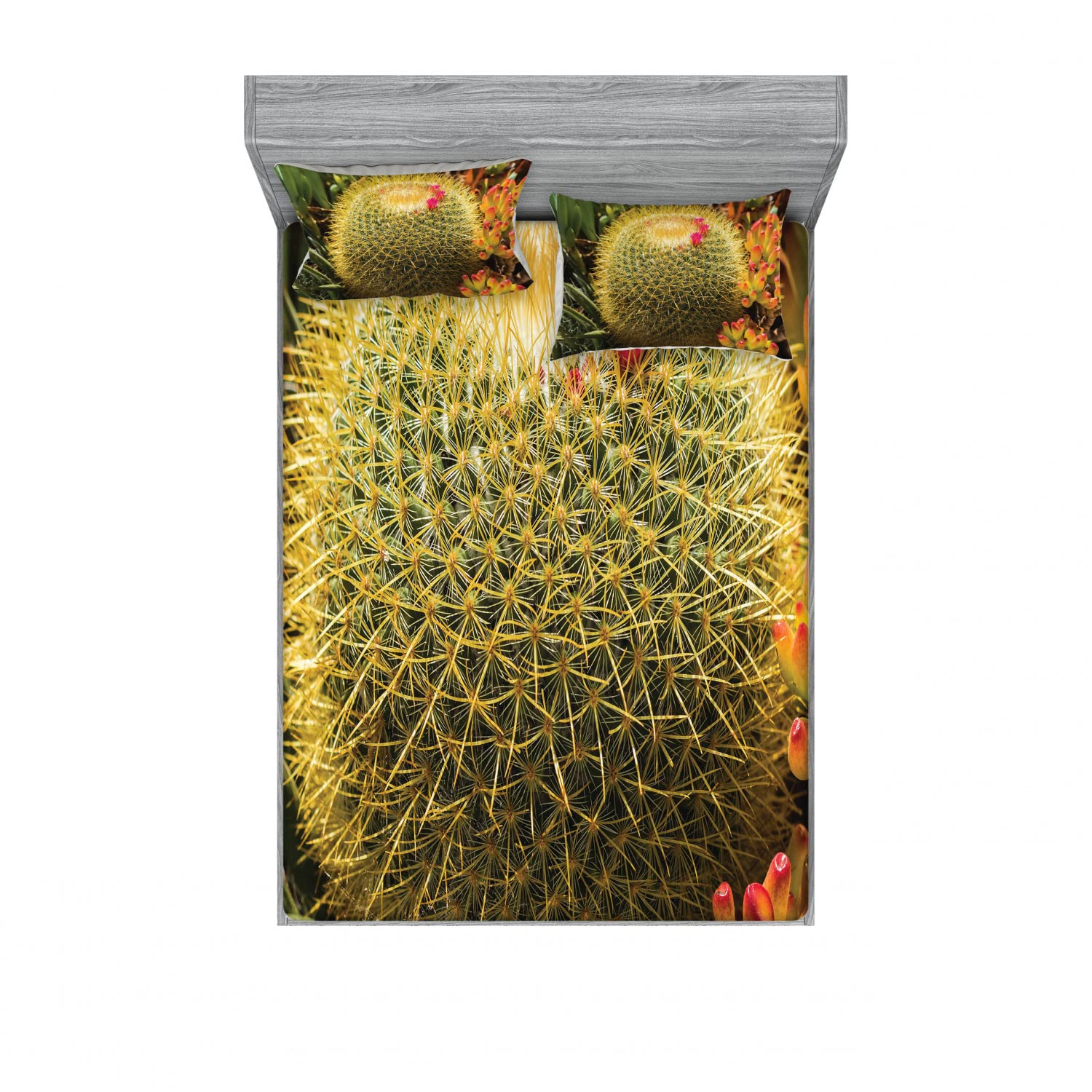 Ambesonne 2-Pack Queen Size Fitted Sheet & Pillow Sham Set - Cactus Plant Design with Spikes, Green and Pink 4-Piece Bedding Set (2 Fitted Sheets + 4 Pillow Covers) for Boho Bedroom Decor, Guest Room or Dormitory