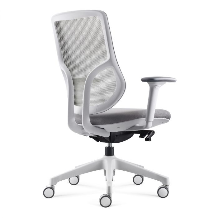 Ergonomic Tango Task Chair by FRIANT - Adjustable Office Chair with Lumbar Support - Perfect for Home Office, Gaming & Workspace Comfort
