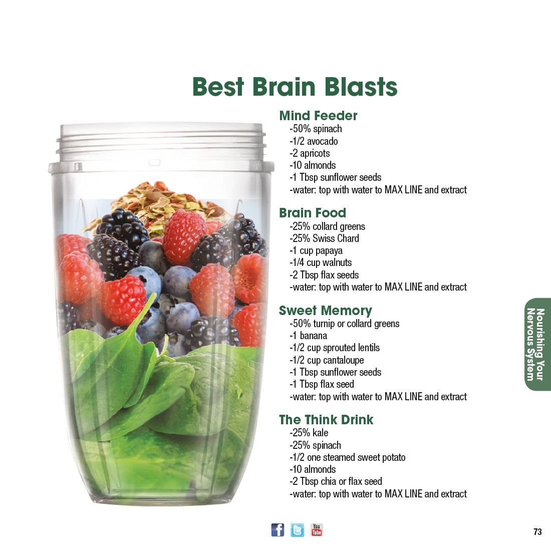 NutriBullet Natural Healing Foods Blender: Boost Your Health in Seconds - Perfect for Smoothies, Juices & Healthy Meal Prep at Home
