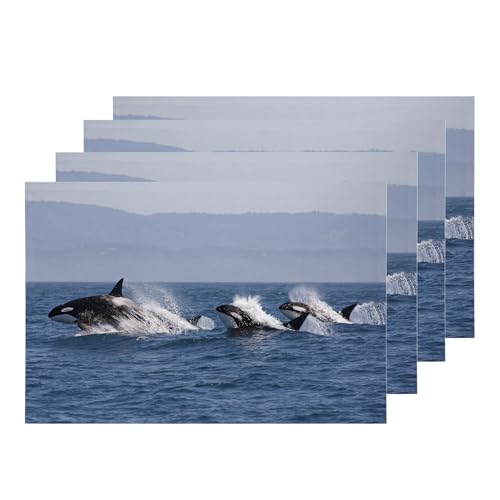 Ocean Marine Organism Biological Bluea