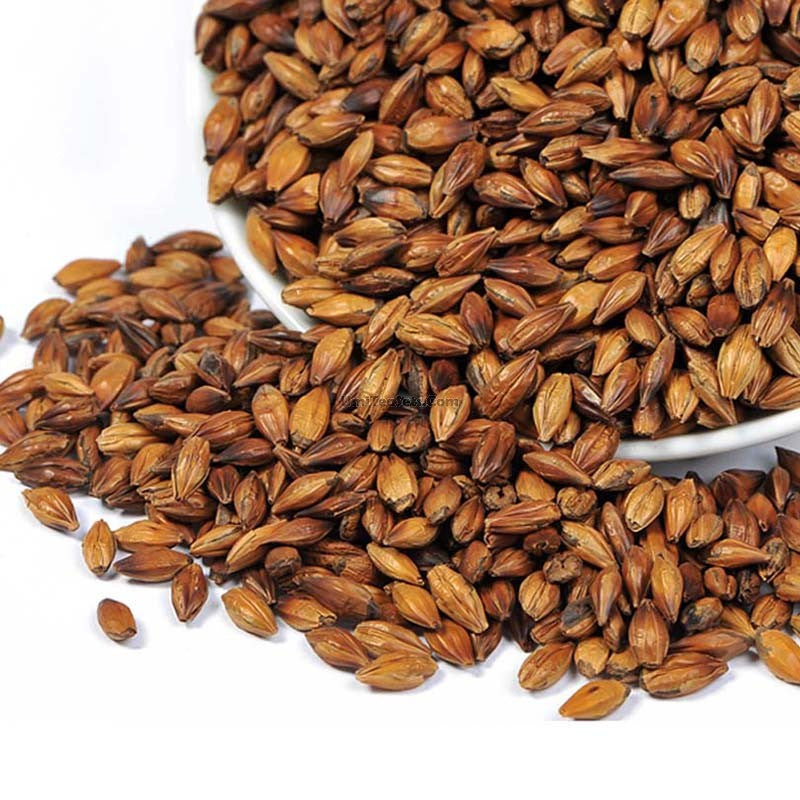 Organic Barley Tea - Healthy Roasted Grain Drink for Detox & Relaxation - Perfect for Iced Tea, Weight Loss & Digestive Health - Great for Home, Office & Travel Use