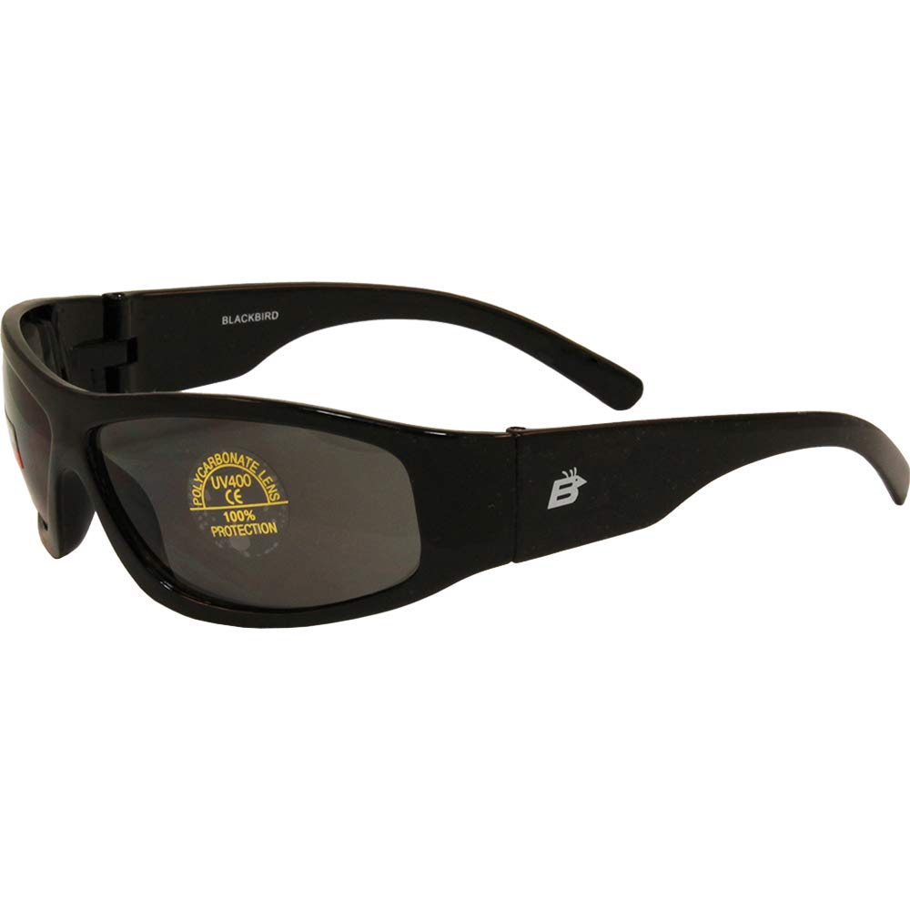 Birdz Eyewear Blackbird Aggro-Look Riding Sunglasses - Polarized Cycling Glasses for Men & Women - UV Protection, Anti-Fog for Mountain Biking, Motorcycle & Outdoor Sports