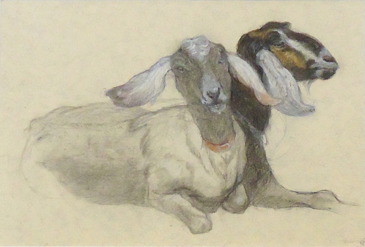 Patricia Traub: Exquisite Pair of Nubian Goat Figurines - Perfect for Home Decor, African-Themed Collections, and Unique Gift Ideas