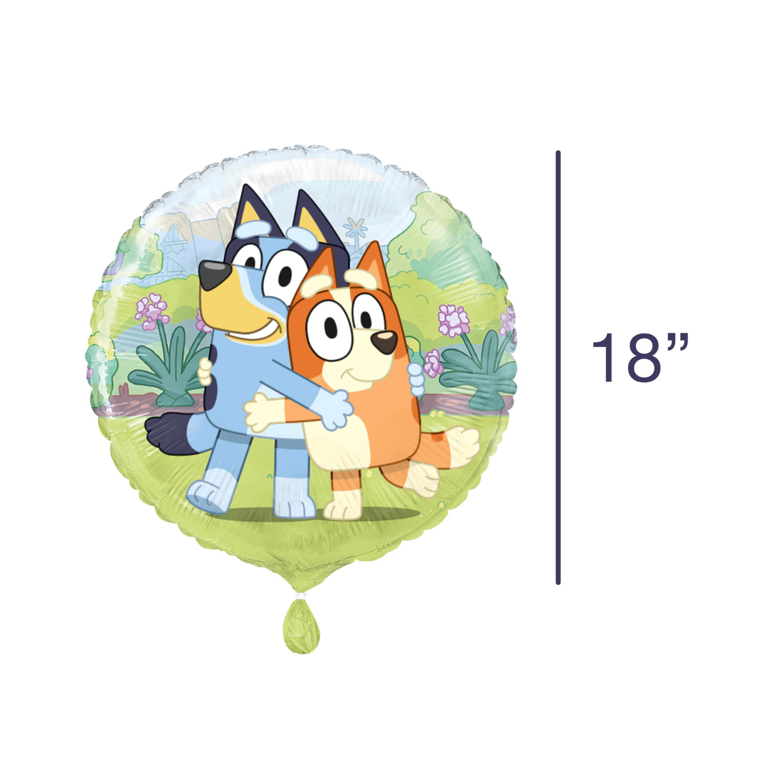Bluey Birthday Party Supplies & Decorations Set - 28