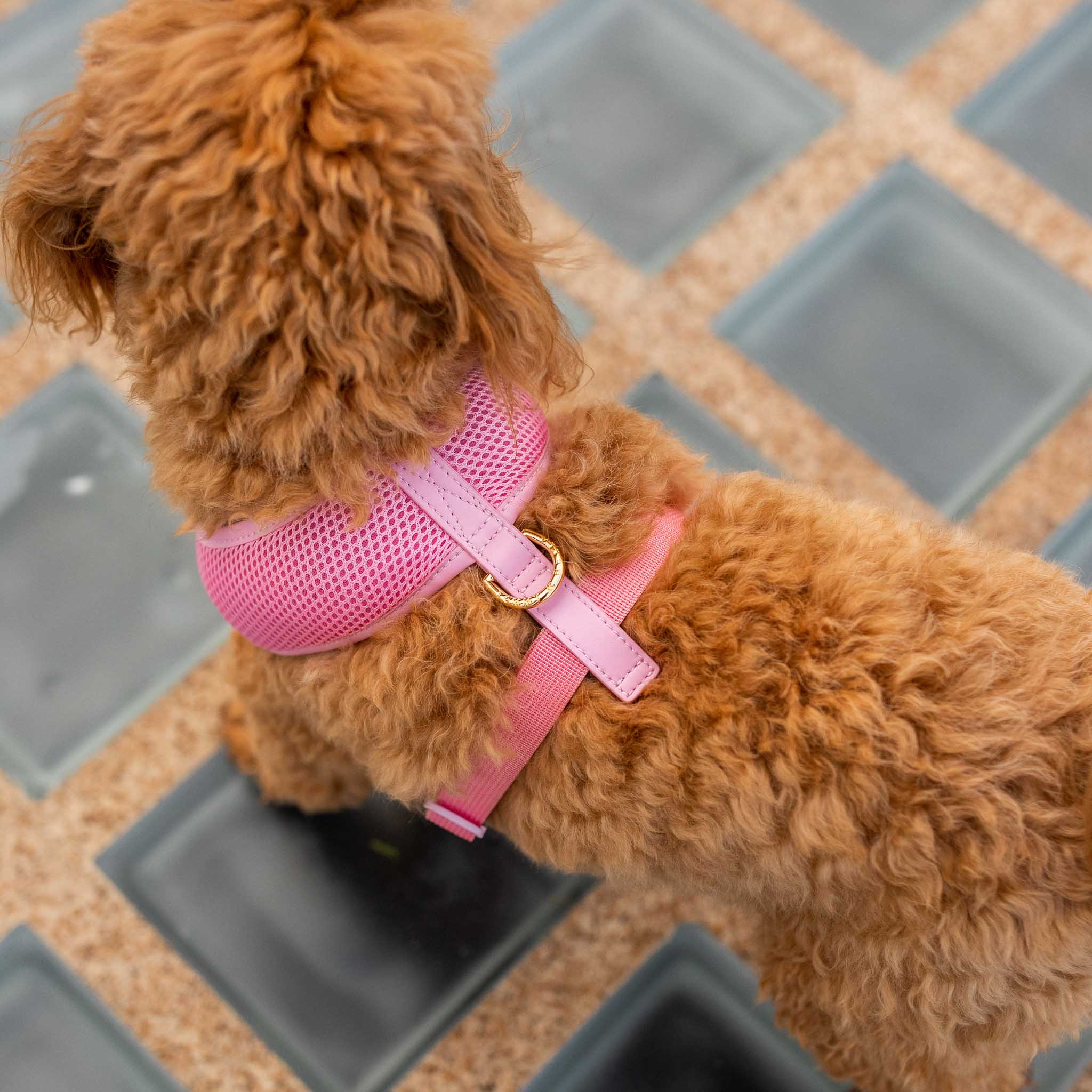 Pink Dog Harness with Adjustable Straps - Soft & Comfortable Pet Vest for Small to Medium Dogs - Perfect for Walking, Hiking & Outdoor Adventures