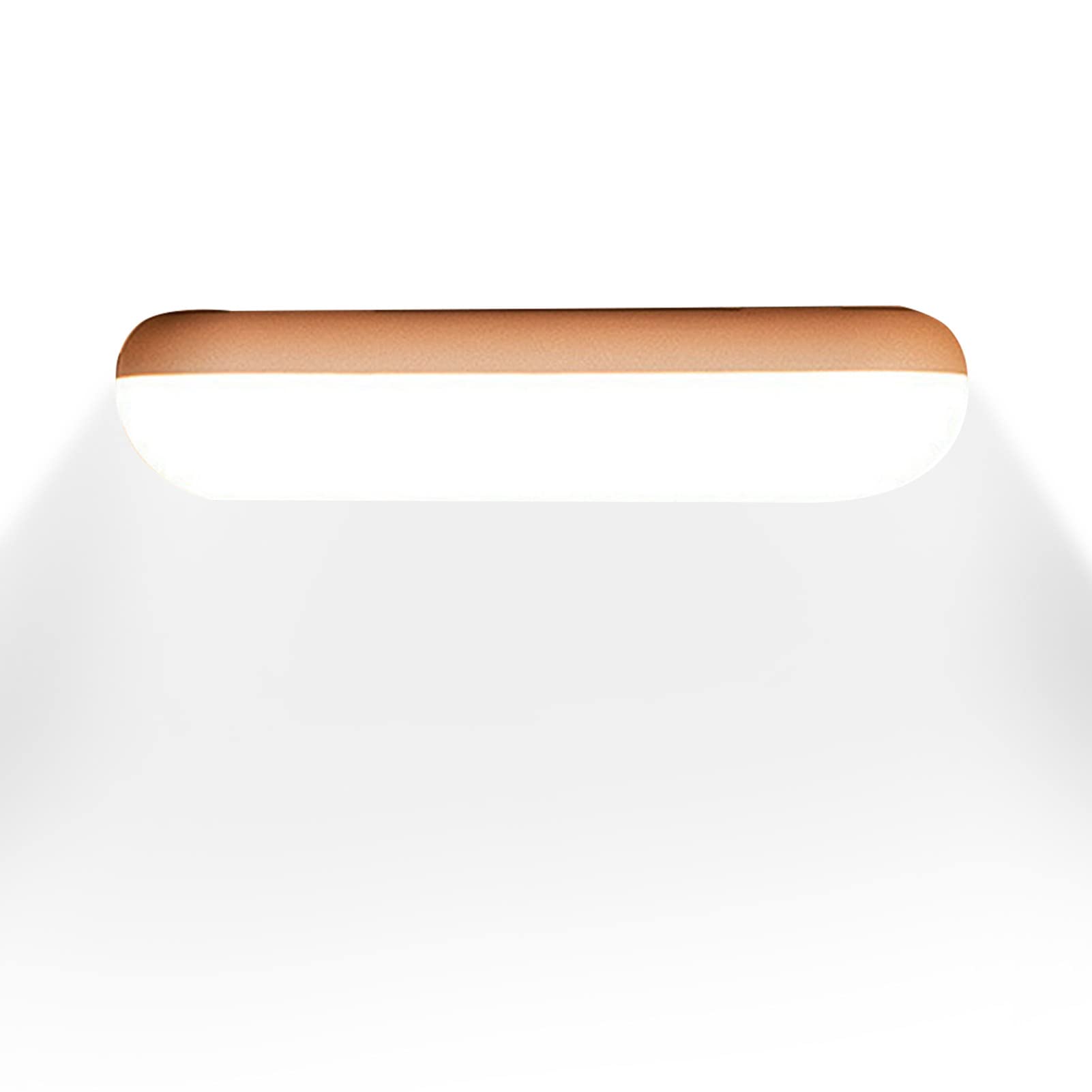 NUZYZ Mini Table Lamp - Non-Flickering ABS Desk Light for Office, Dorm Room & Study | Energy-Efficient Reading Lamp with Adjustable Brightness for Night Study, Work & Bedside Use
