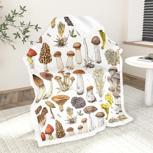 Various Mushroom