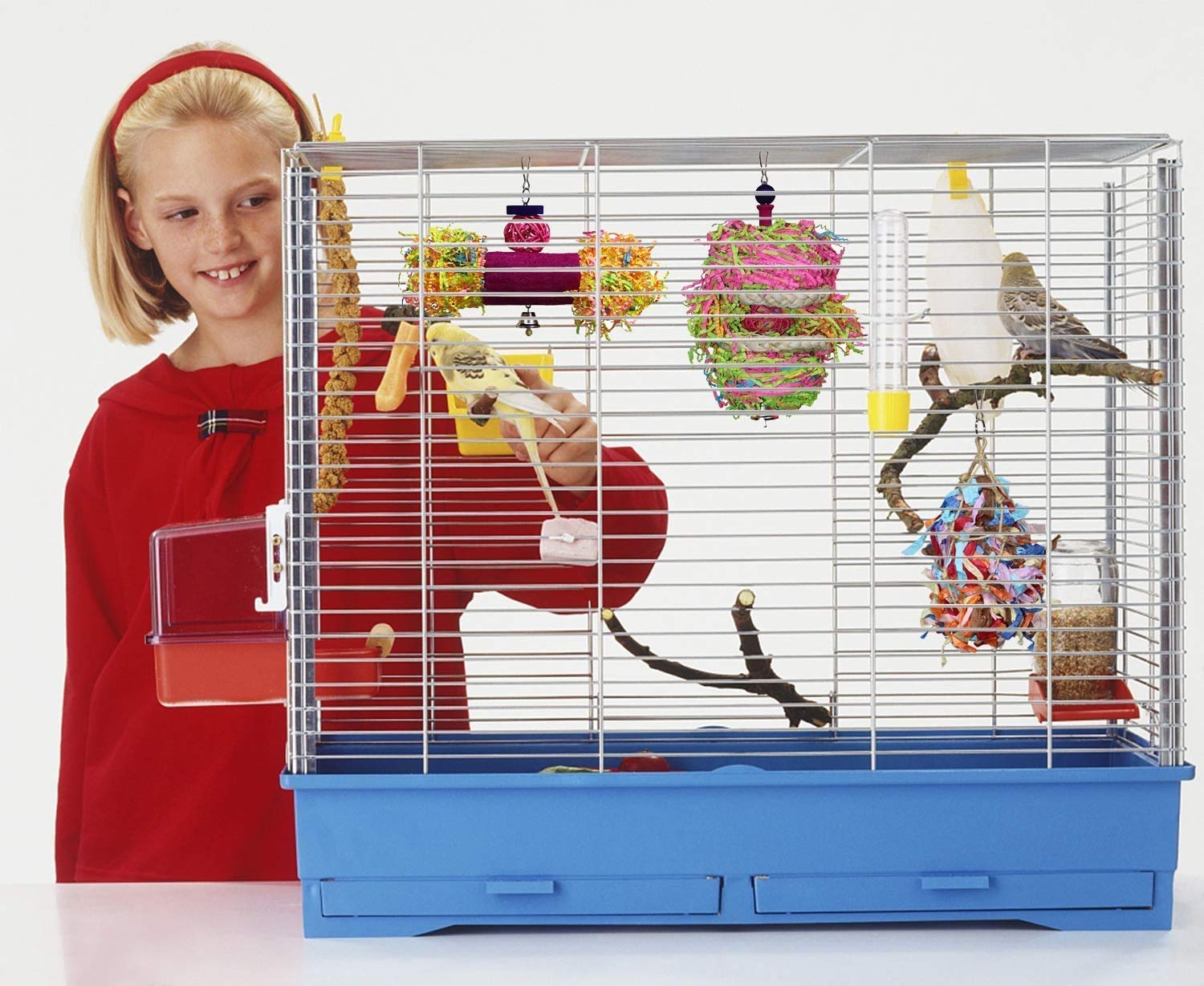 4 Pack Colorful Parrot Chewing & Foraging Toys with Bell - Hanging Shredder Swing Toys for Parakeets, Conures, Cockatiels, Lovebirds & Small Birds | Perfect for Cage Enrichment & Mental Stimulation