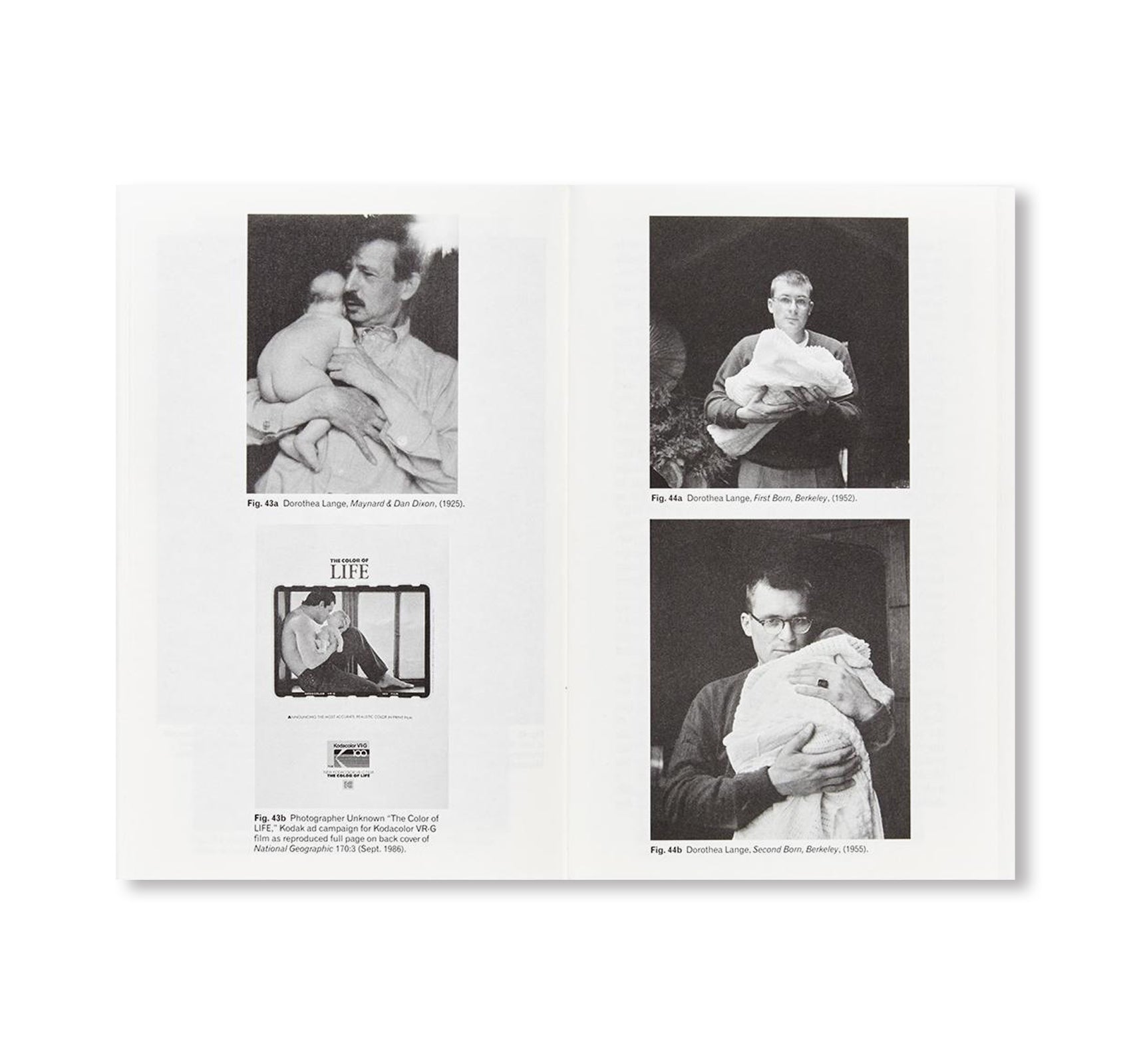 Migrant Mother, Migrant Gender by Sally Stein - Historical Photography Book on American Migrant Workers - Perfect for Art Lovers, History Buffs, and Photography Enthusiasts