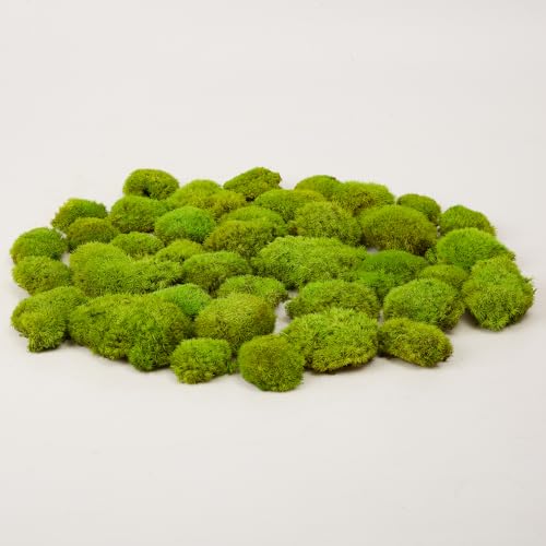 Green-E