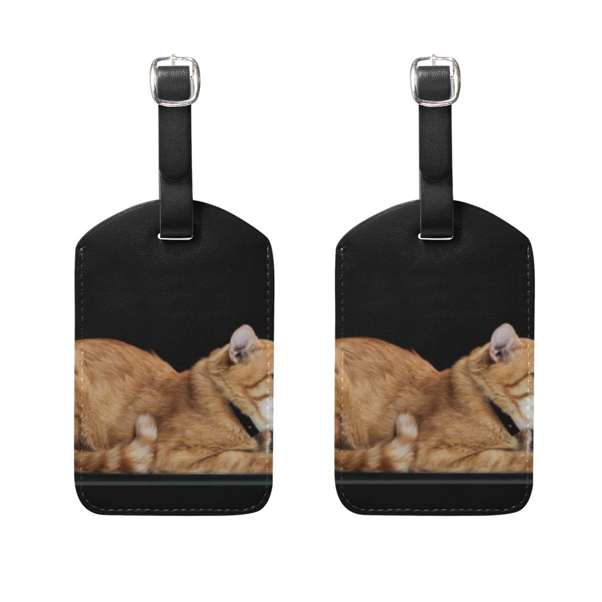 Orange Tabby Cat Luggage Tags - 2 Pack Durable Suitcase Baggage Labels for Travel, Airports & Identification | Cute Pet Lover Accessories