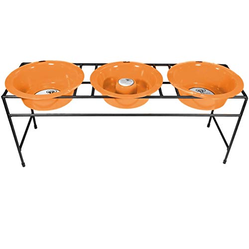 Hunter Orange