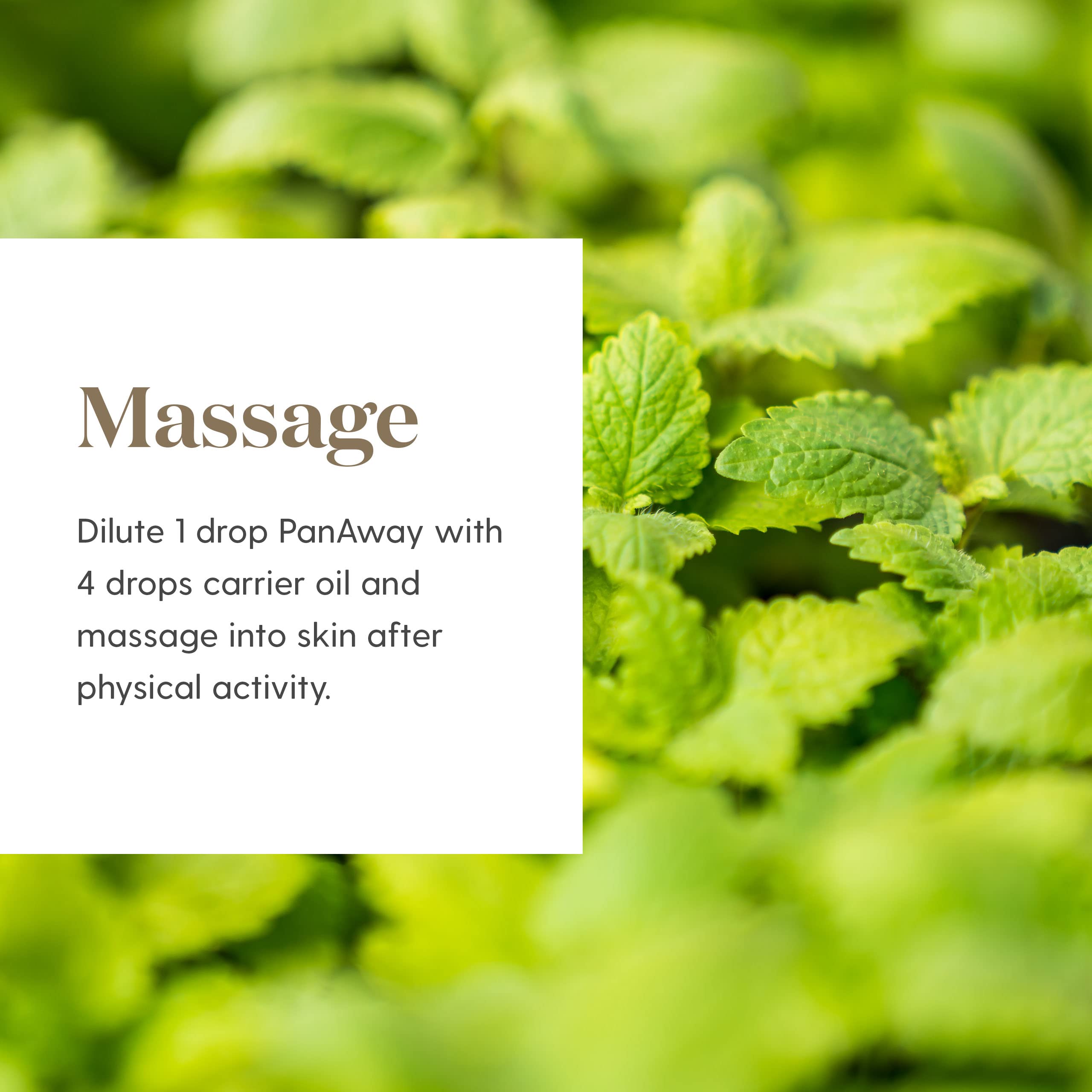 Young Living PanAway Essential Oil Blend - 15ml Clove Oil for Cooling & Soothing Relief | Travel & Camping Essential | Refreshing Aroma for Post-Workout Massage & Relaxation | Perfect for Athletes, Yoga & Outdoor Adventures