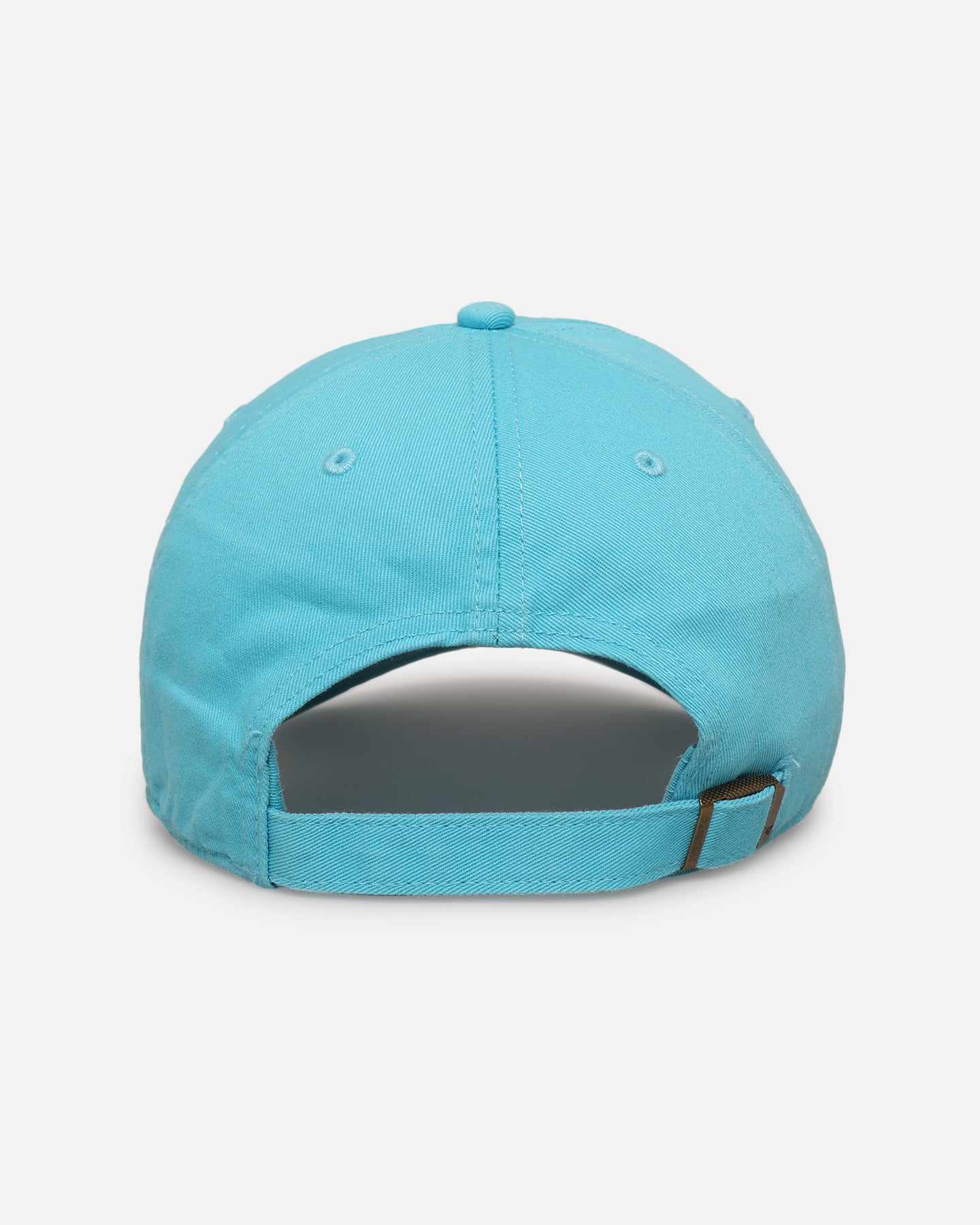 47 Brand Australian Shepherd 'Dog Collection' 47 Clean Up Strapback Blue Hat - Adjustable Snapback Cap for Dog Lovers, Perfect for Outdoor Activities, Hiking and Casual Wear