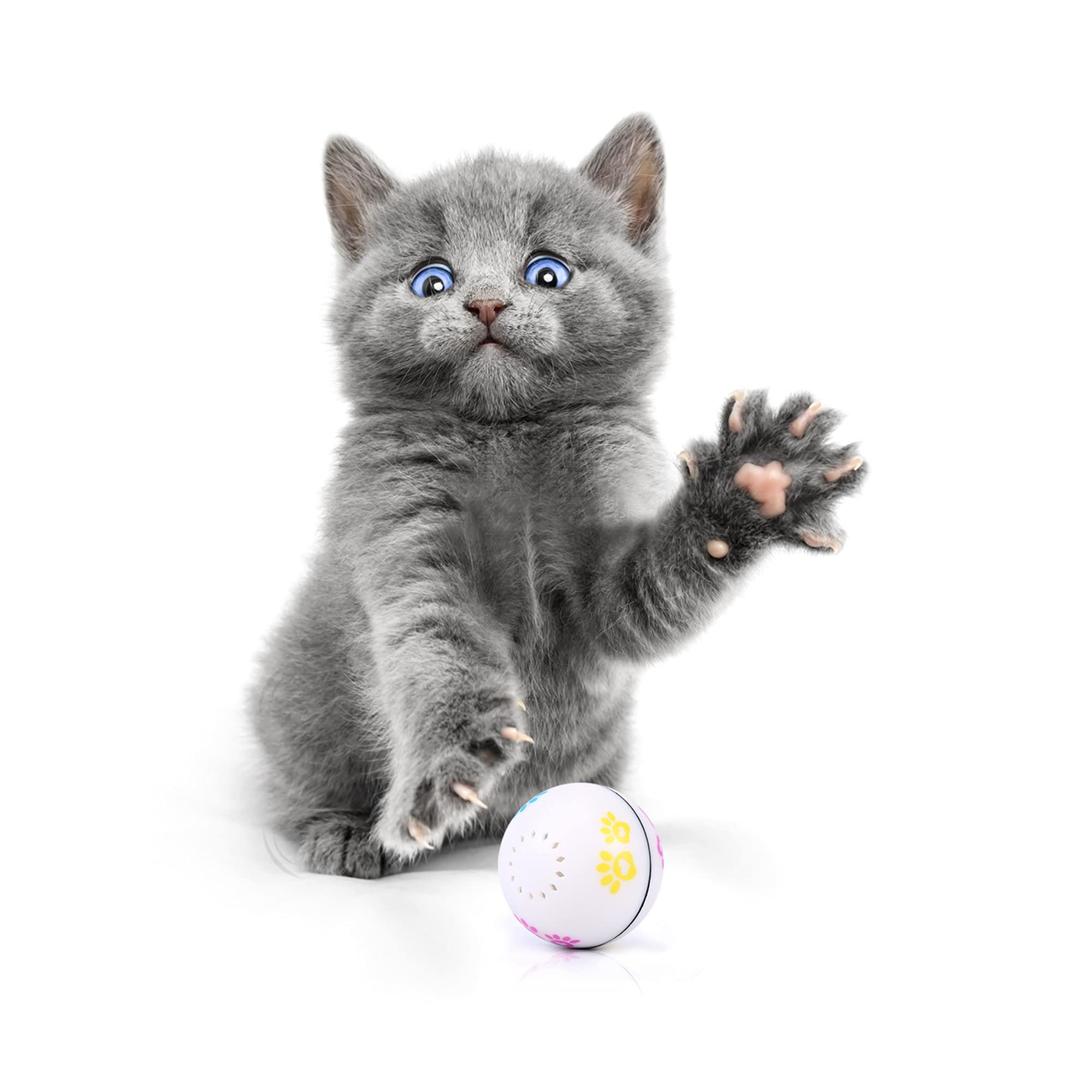 Interactive Cat Toys & Smart Rolling Dog Toys - USB Rechargeable LED Pet Exercise Ball with Catnip for Puppy & Kitty | Indoor Play, Training Reward, Anxiety Relief for Pets | Pack of 1