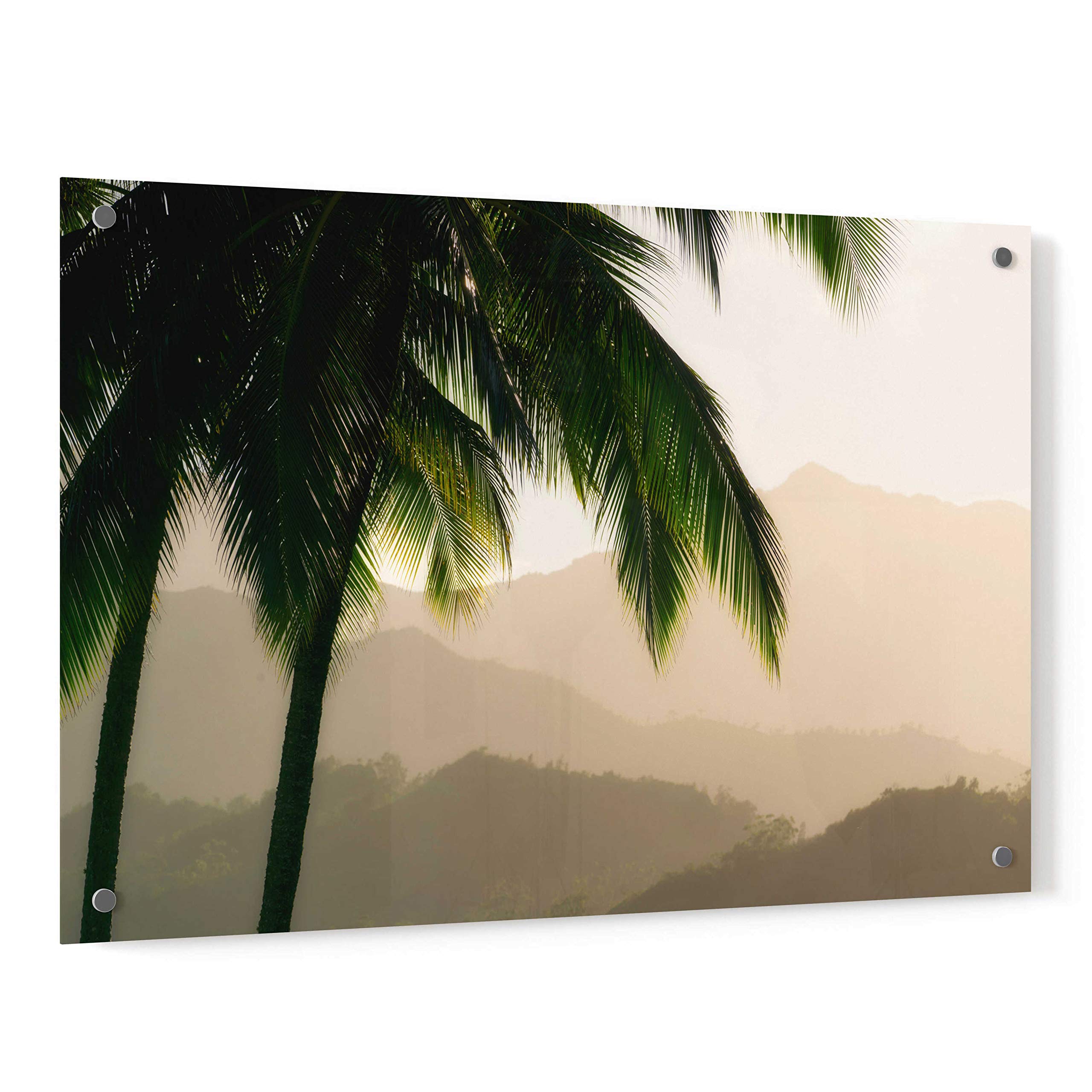 Dennis Frates 'Misty Palms III' Acrylic Glass Wall Art - 36x24 Inches Modern Canvas Painting for Living Room, Bedroom & Office Decor