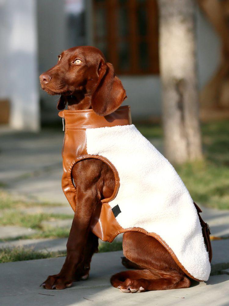 Soft and Cozy Birchwood Teddy Bear Vest for Kids - Warm Fleece-Lined Winter Vest for Boys & Girls - Perfect for Outdoor Play, School, and Holiday Photos