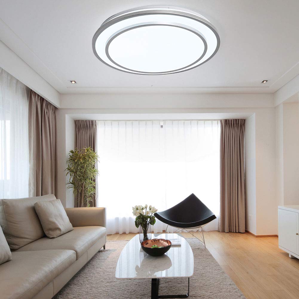 20 Inch Double Round Flush Mount Ceiling Light - 48W Dimmable LED Fixture with Remote Control - 3000K-6000K Adjustable Color Temperature - White & Brushed Nickel Finish - Perfect for Bedroom, Kitchen, Dining Room, Hallway and Office Lighting
