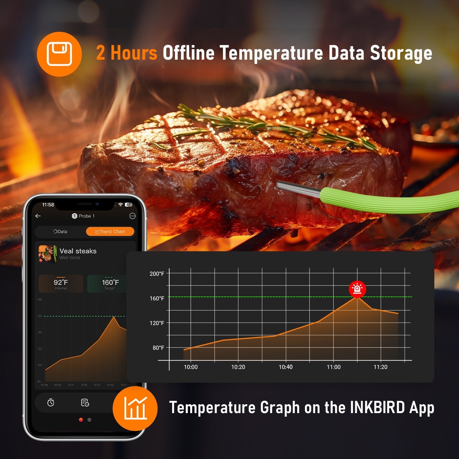 Wireless Bluetooth BBQ Meat Thermometer IDT 22 B - Smart Cooking Thermometer for Grilling, Smoking & Roasting - Perfect for Backyard BBQs, Camping & Outdoor Cooking