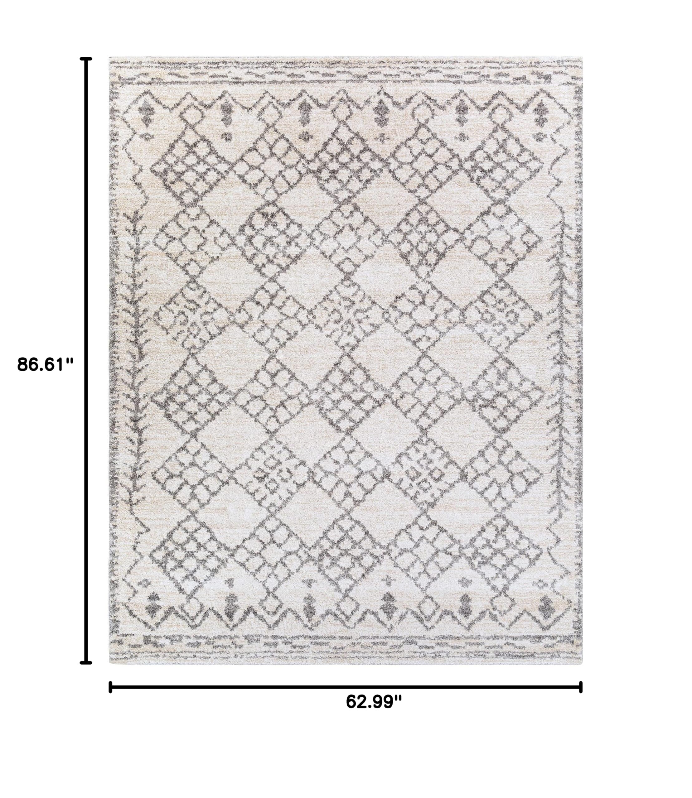 Luxury Hauteloom High Pile Area Rug for Living Room & Bedroom - Soft Gray & Beige 5'3
