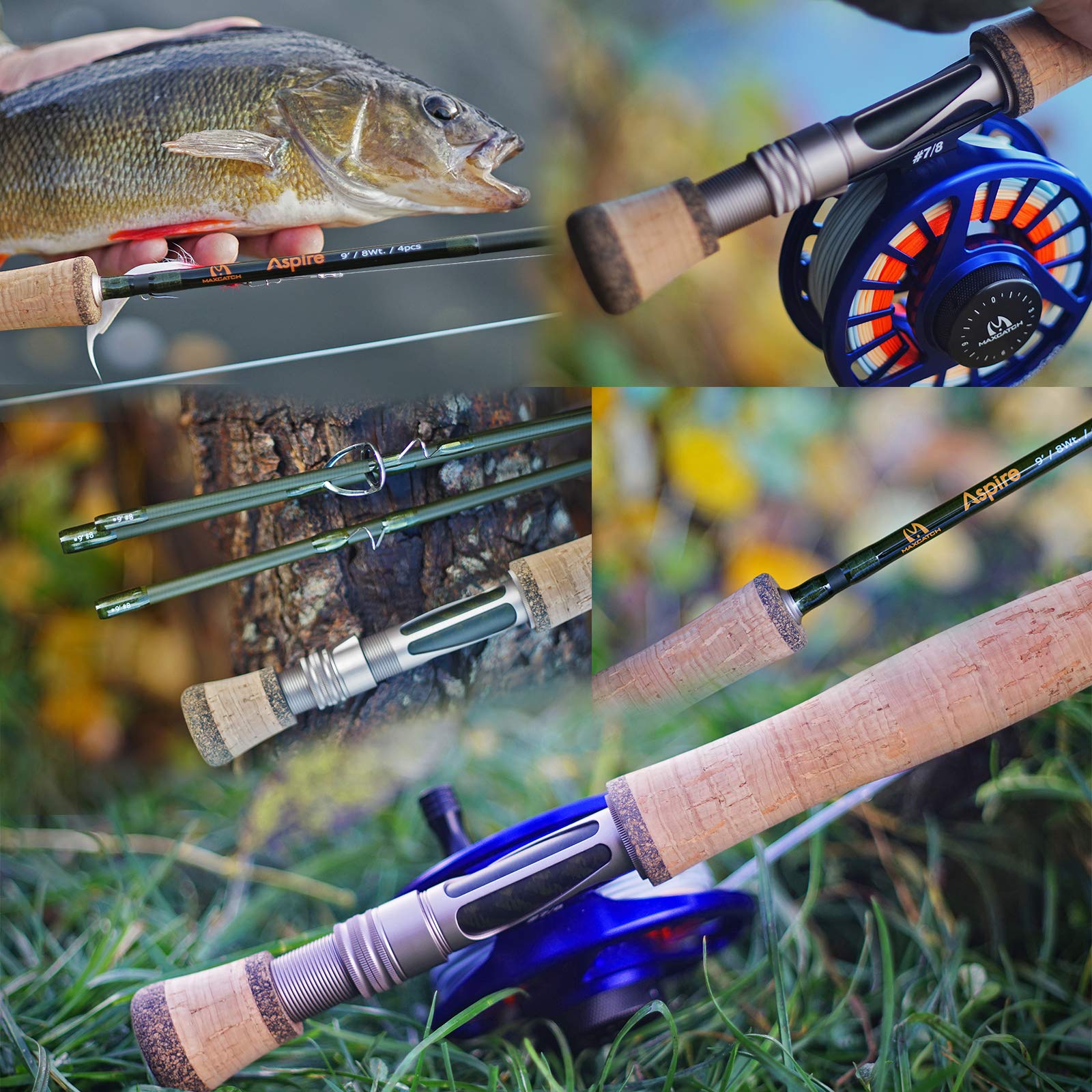 Maxcatch Aspire Fly Fishing Rod - 40T Carbon Fiber, Anodized Reel Seat, 4-Piece (5/6/8 wt) - Perfect for Trout, Bass & Freshwater Fishing