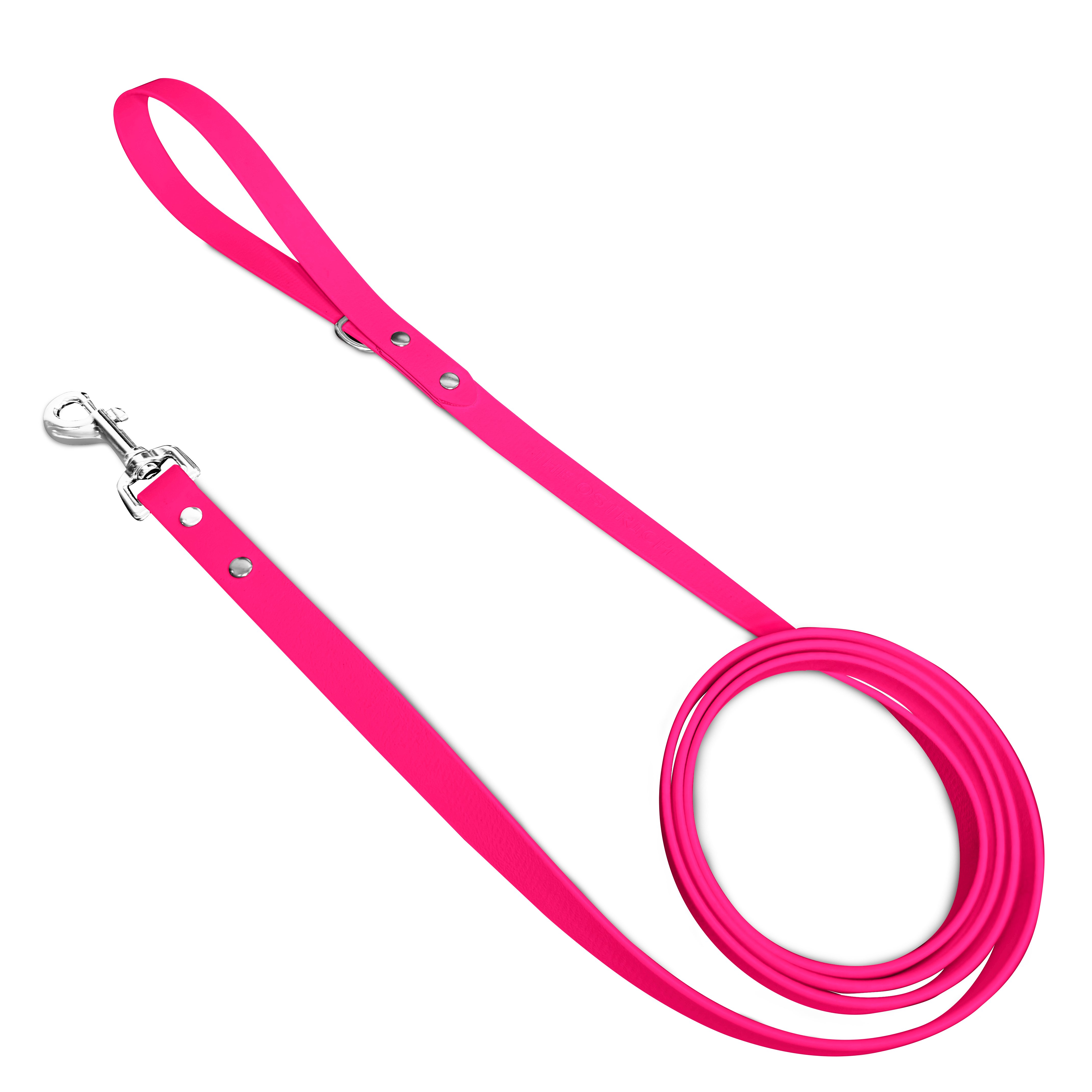 Fuchsia Classic Dog Leash - Durable Nylon Pet Leash for Small Medium Large Dogs - Perfect for Walking, Training & Outdoor Adventures