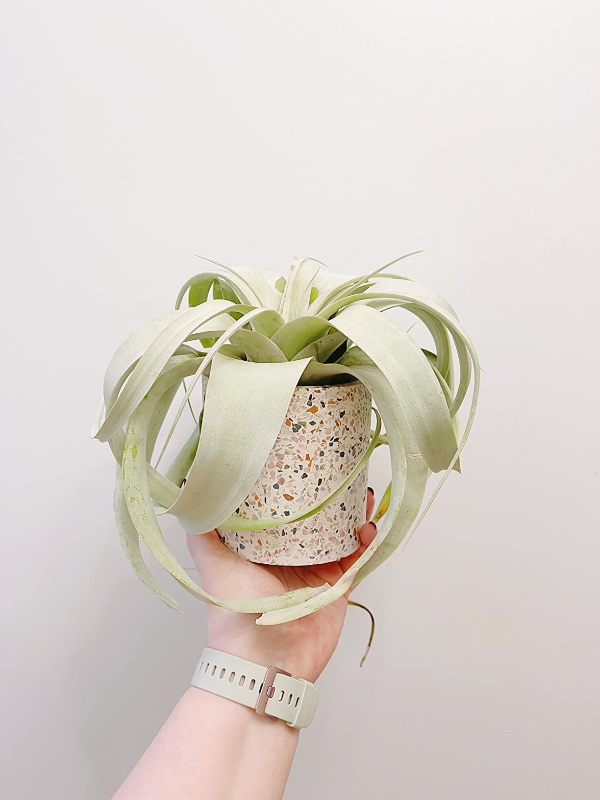 Terrazzo Ceramic Indoor Planter - White Decorative Flower Pot for Succulents, Herbs & Small Plants | Perfect for Kitchen Windowsill, Porch, Patio & Home Decor | Durable Ceramic Plant Pot with Drainage Hole