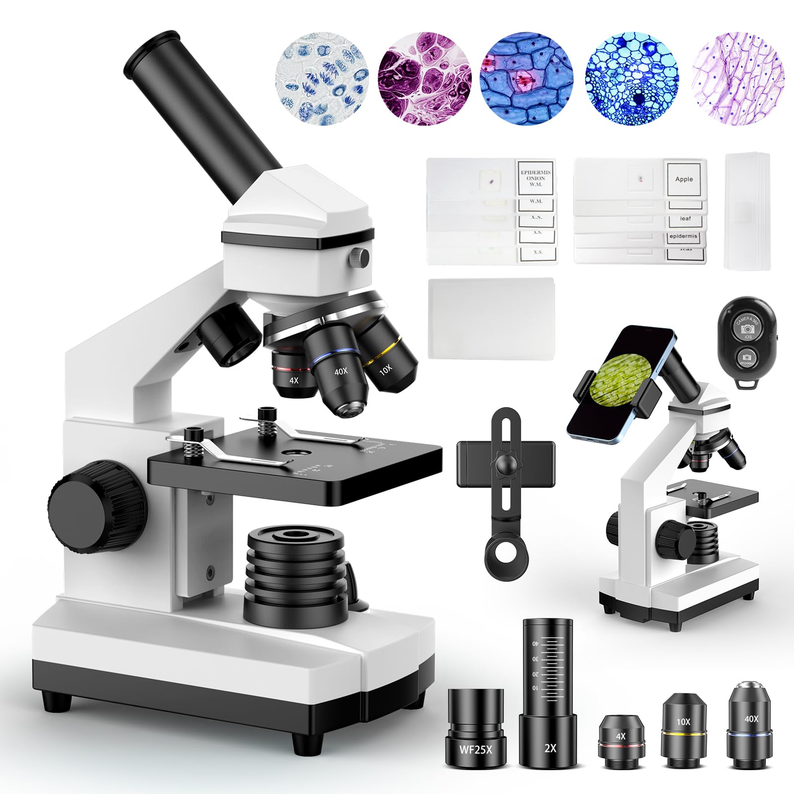 100X-2000X Magnification Microscope for Kids, Students & Adults - Professional Biological Compound Microscope with LED Illumination for School, Lab & Home Science Education | Includes Prepared Slides & Smartphone Adapter (Perfect for Classroom Experiments, Homeschool Learning & Scientific Discovery)