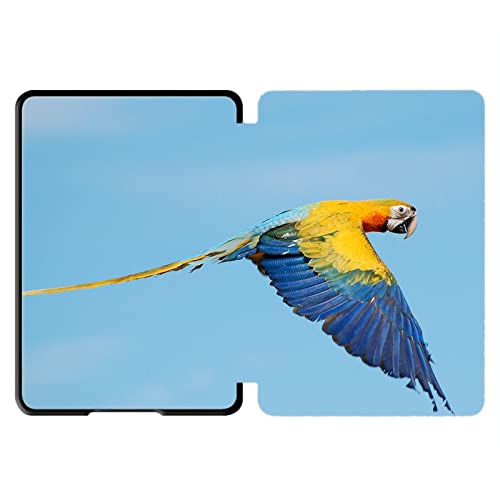Parrot