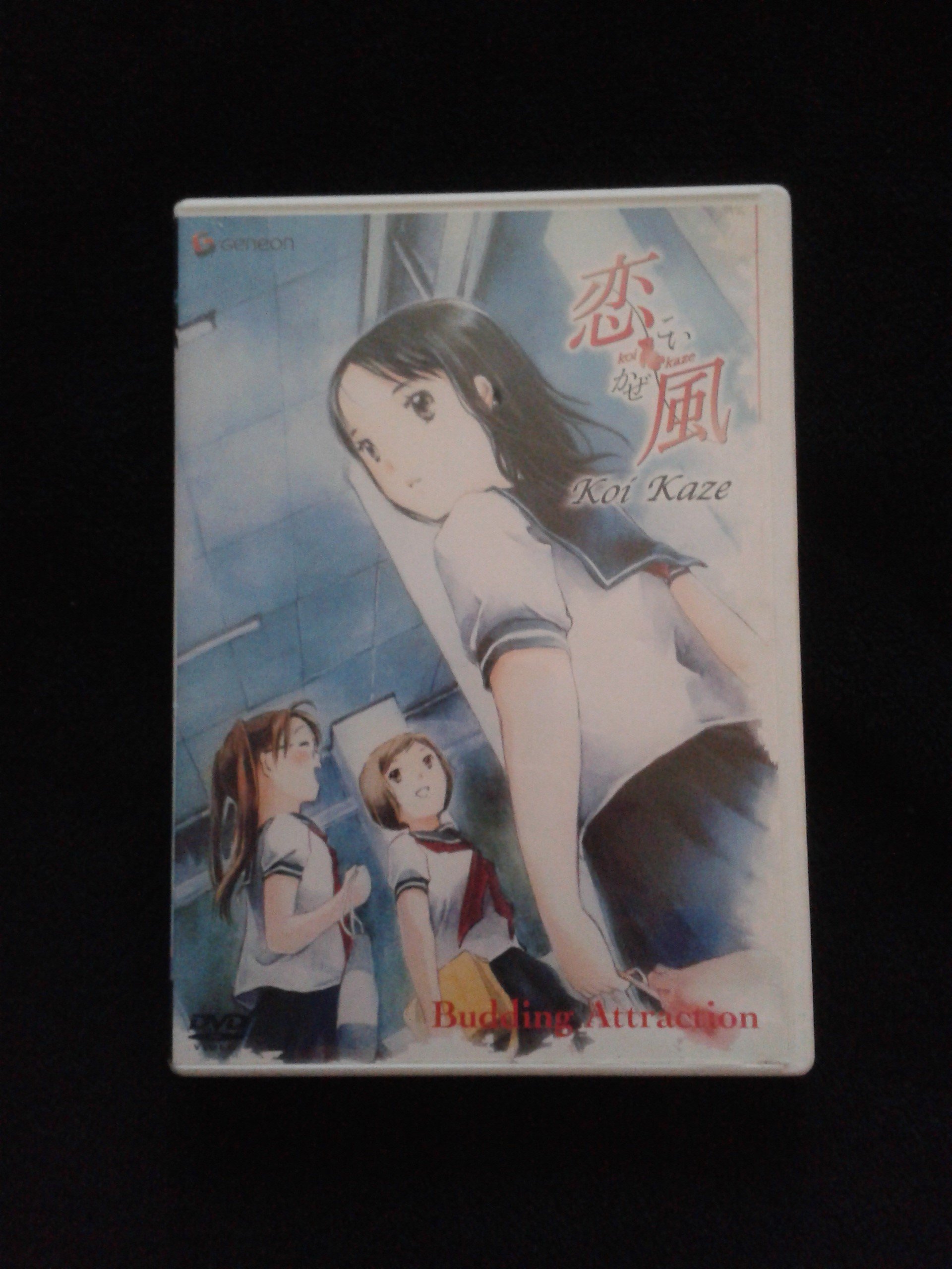 Koi Kaze: Complete Anime Series Box Set DVD | Romantic Drama Collection | Perfect for Anime Lovers & Collectors | Great Gift for Valentine's Day or Anniversary
