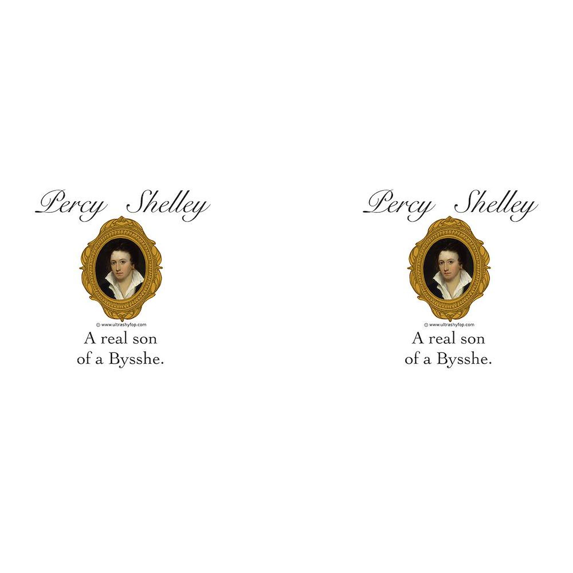 Percy Shelley 11 oz (325 ml) Ceramic Coffee Mug - Perfect for Tea, Hot Chocolate & Office Use - Literary Gift for Book Lovers & Poetry Fans