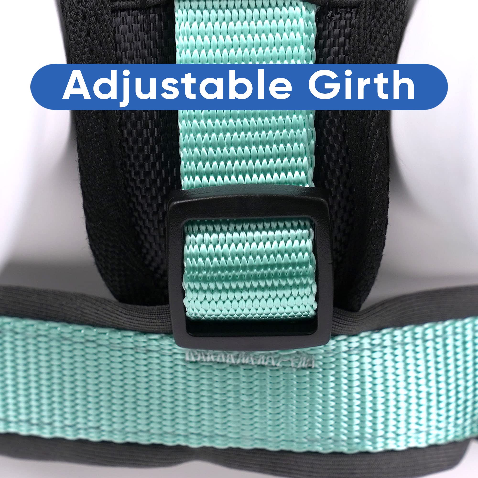 Pawtitas Reflective Padded Dog Harness - Comfortable & Adjustable Pet Vest for Walking, Running & Night Safety - Medium Size Teal Blue - Perfect for Small to Medium Dogs Outdoor Adventures