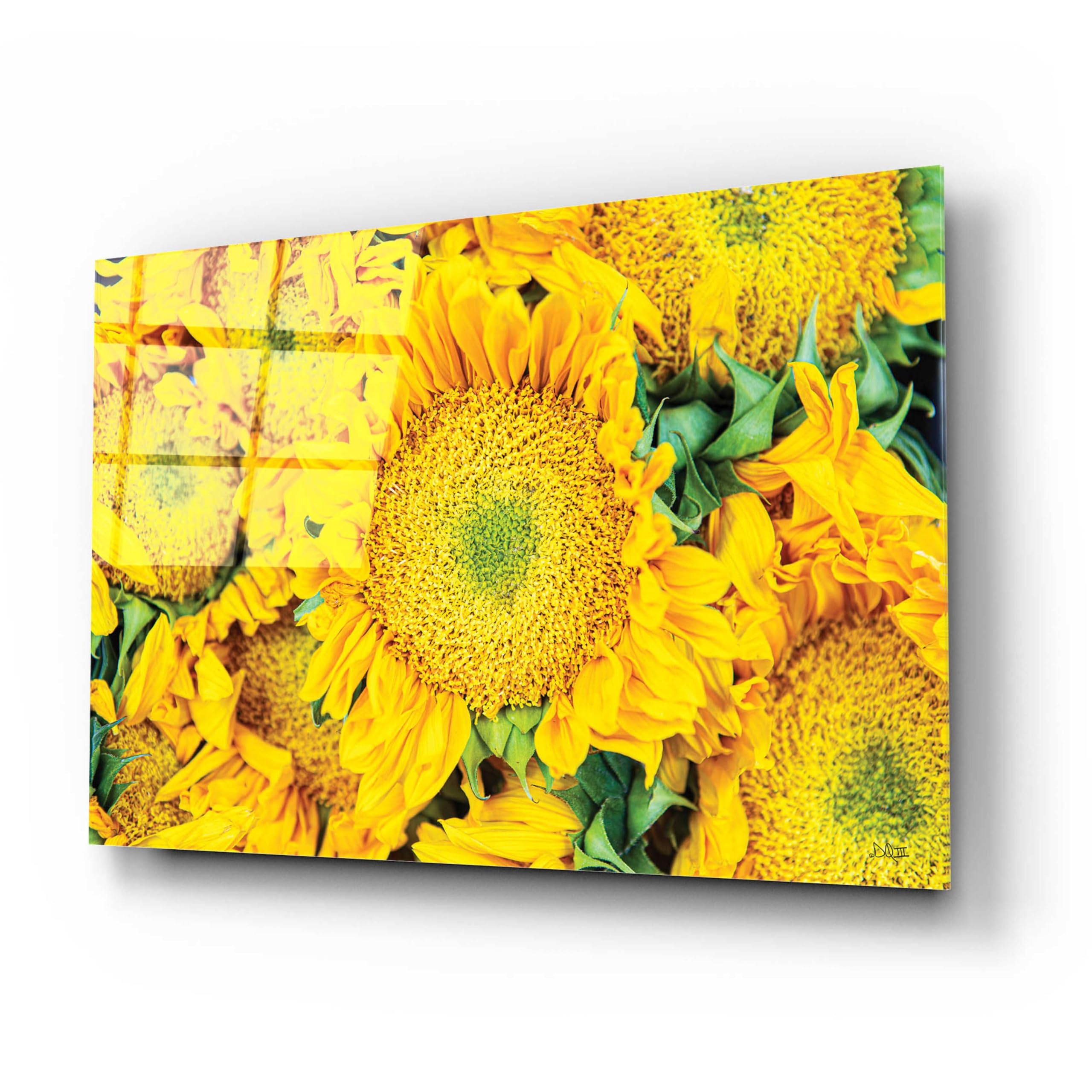 Epic Art 'Sunflower Summer' by Donnie Quillen - Vibrant Acrylic Glass Wall Art Decor 24