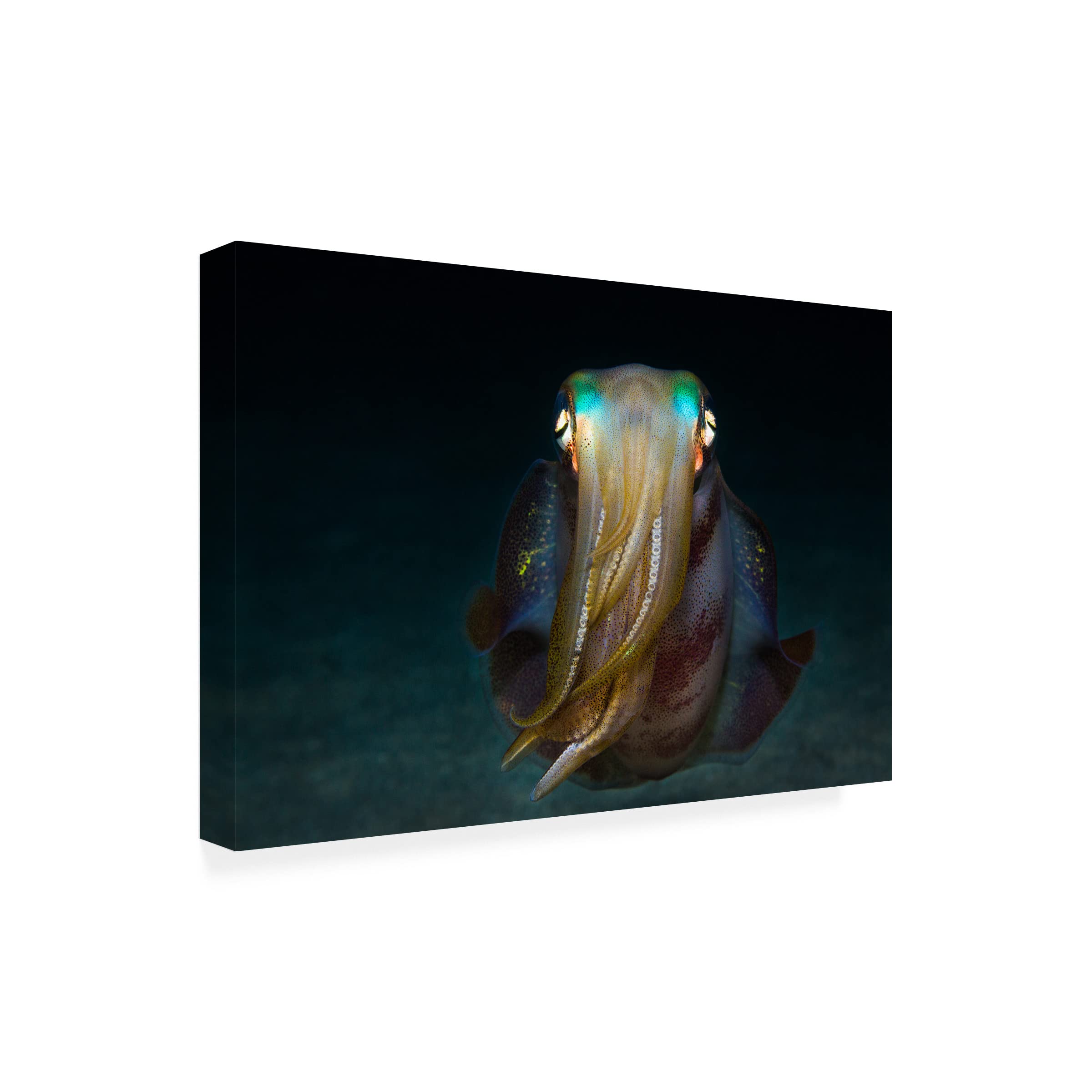 Anna Shvab 'Squid' Canvas Wall Art Print - Modern Ocean Themed Painting for Living Room, Bedroom & Office Decor