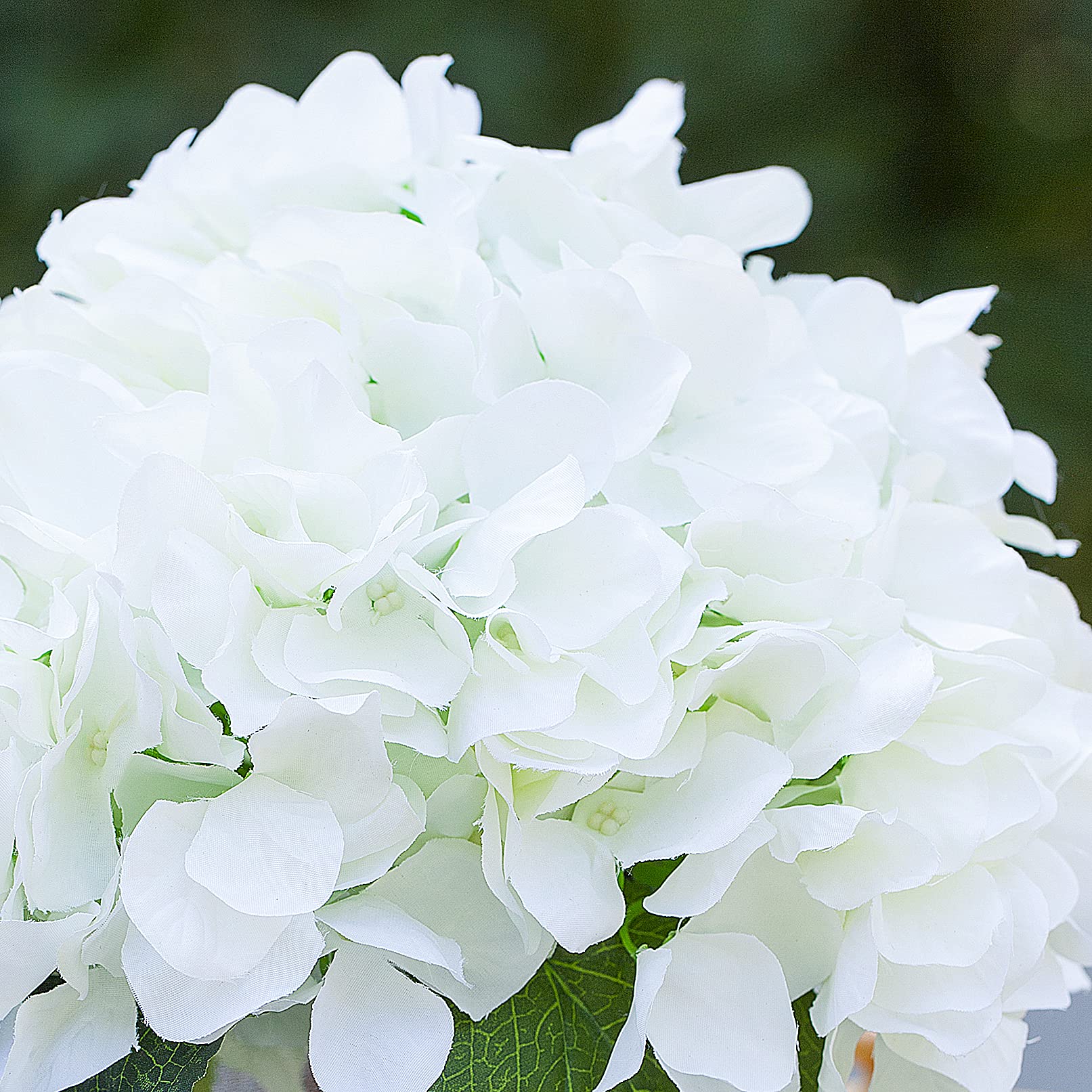 Enova Home Artificial Hydrangea Flowers Arrangement in Cube Glass Vase - Cream Silk Hydrangeas for Wedding Centerpiece, Home Decor, Office & Table Decoration