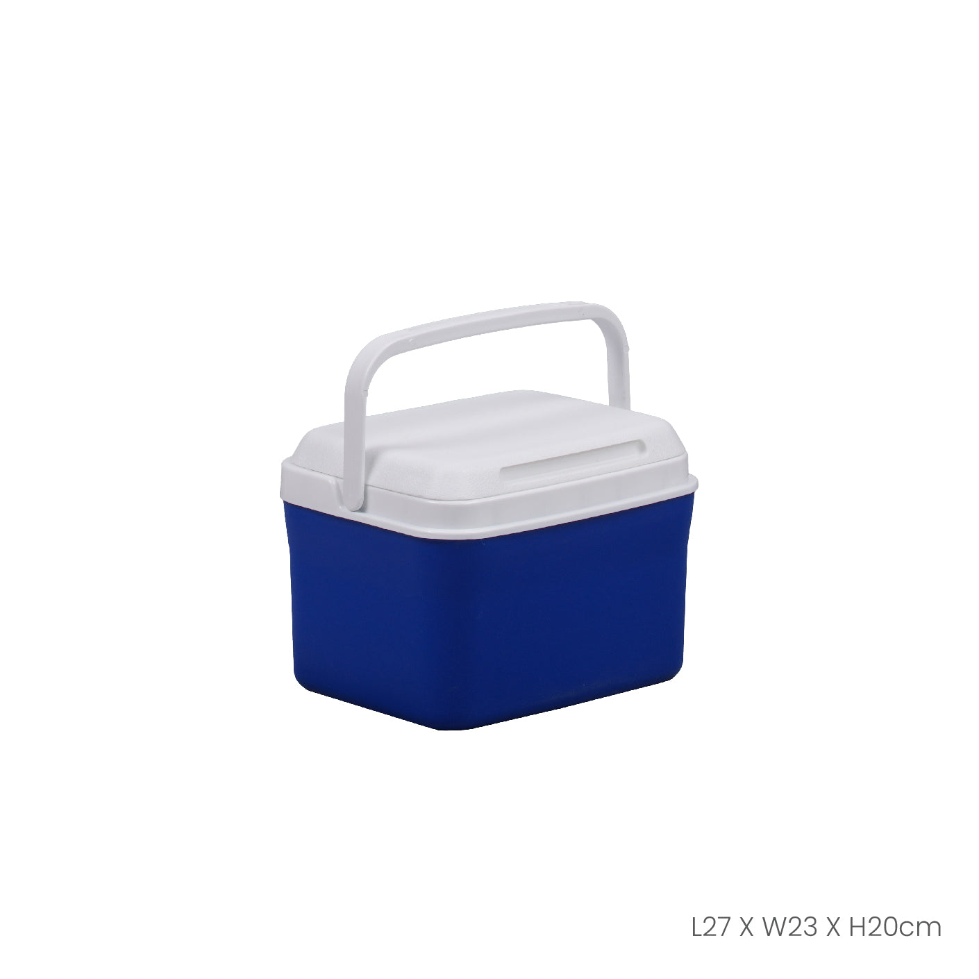 Portable Cooler Box 4.5L/1.2 Gallon - DX2159 (HFH8384) Insulated Lunch Bag for Picnics, Camping & Beach Outings