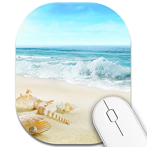 Beach Shells
