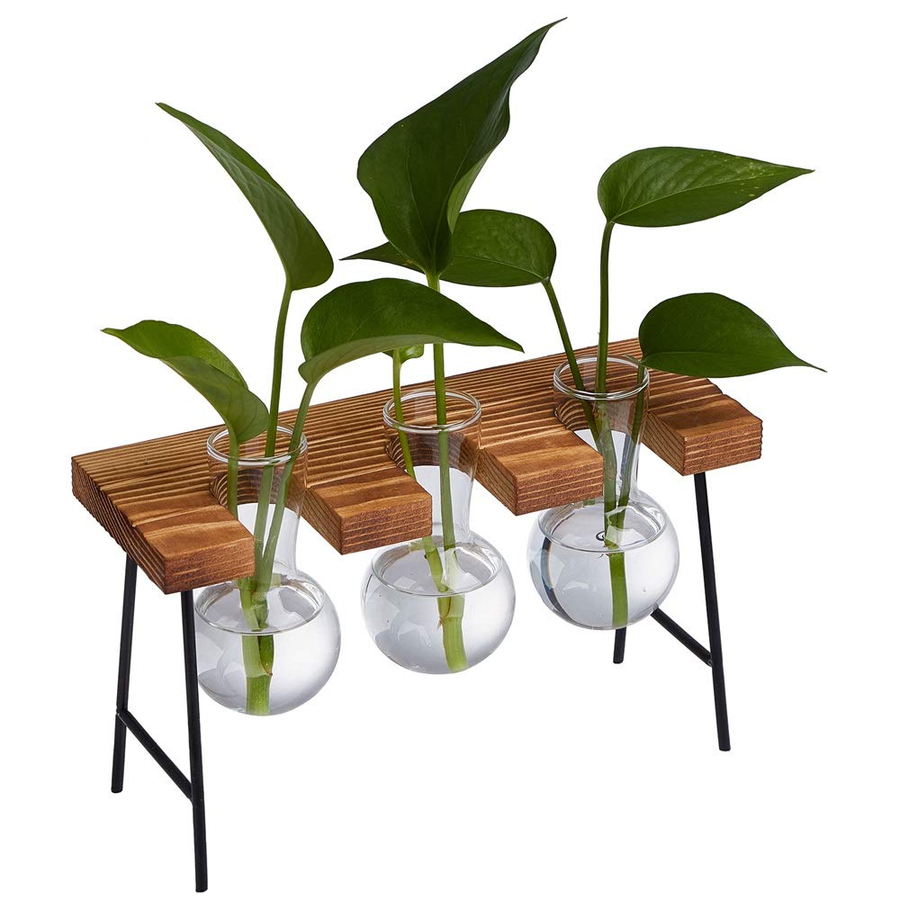 Air Plant Terrarium Glass with Wooden Stand - Small Desktop Hydroponics Vase for Succulents & Plants - Home Office Decor with 3 Bulbs - Perfect for Desk Decor, Gift Idea & Indoor Gardening