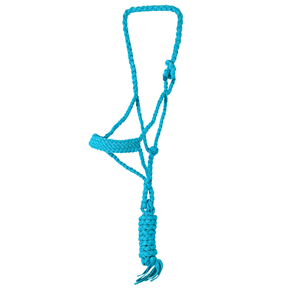 8 Ft Hilason Western Nylon Poly Flat Braided Mule Tape Halter and Lead Rope - Durable Horse Training Equipment for Trail Riding, Ranch Work, and Show Events