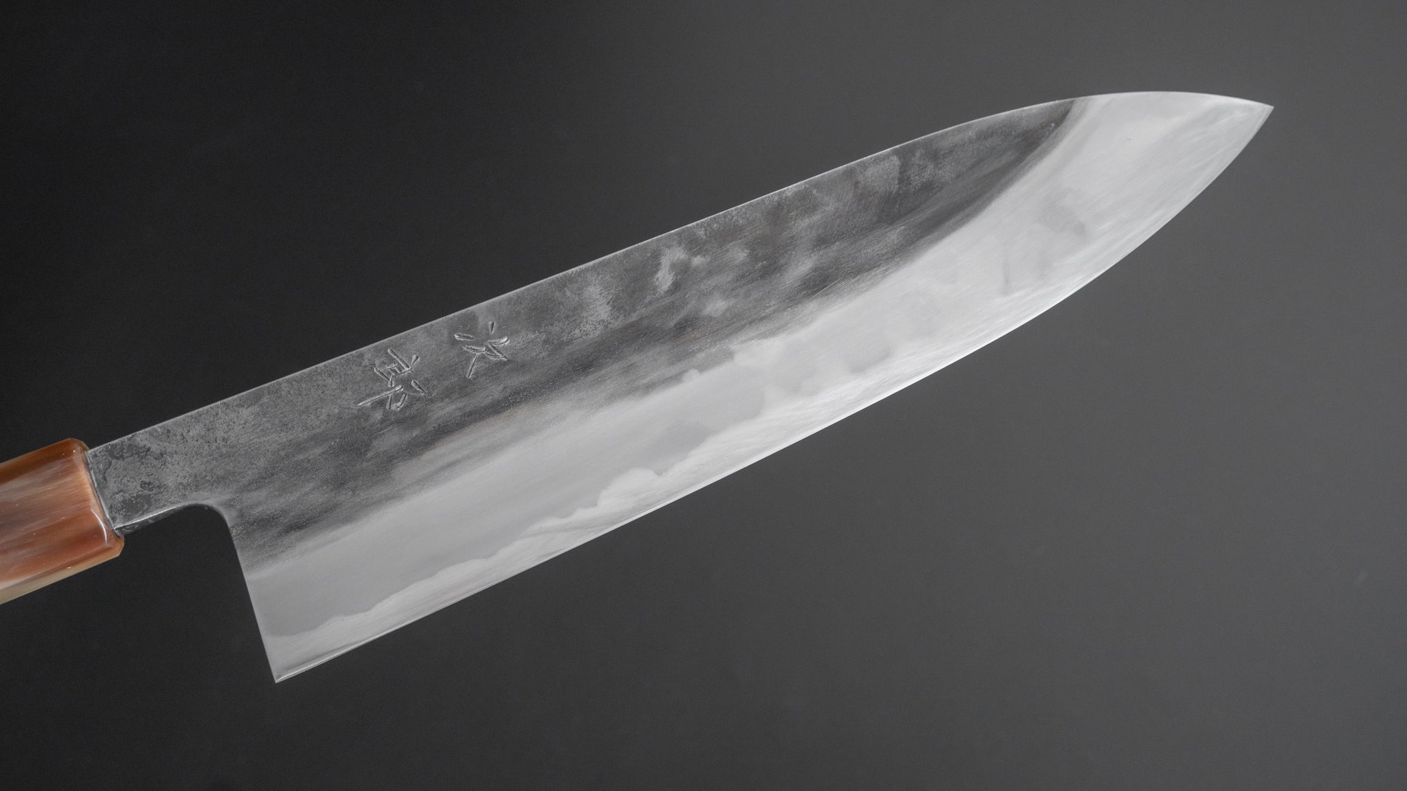 Premium Jiro Tsuchime Wa Gyuto 240mm Japanese Chef Knife with Taihei Tagayasan Handle (#217) - Perfect for Sushi, Meat Slicing & Professional Kitchen Use