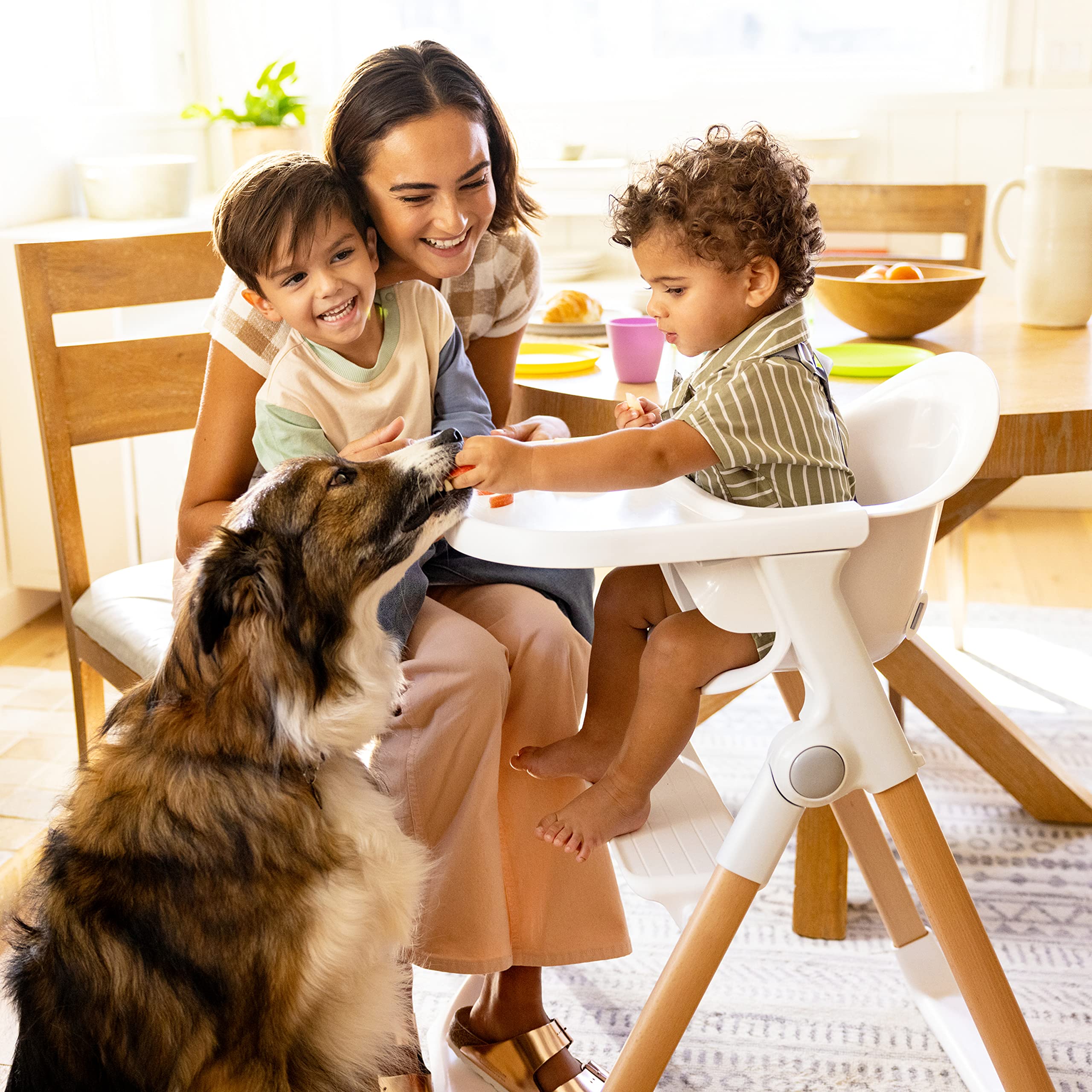 Munchkin Float Baby High Chair - Foldable & Easy Clean Infant Toddler Feeding Seat with Wooden Legs in White - Perfect for Home, Travel & Outdoor Dining