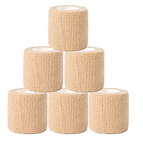 6 Rolls 2