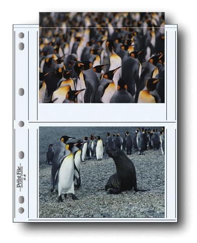Print File 57 4P Archival Storage Pages for 4 Prints (5x7 Inches, 100 Pack) - Acid-Free Photo Protector for Collectors, Artists & Photographers - Perfect for Organizing, Preserving & Displaying 5x7 Photos