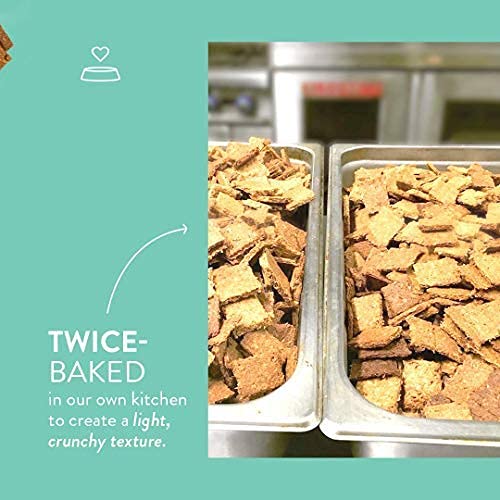 **Portland Pet Food Company Brew Biscuit Dog Treats - All Natural, Human-Grade, USA-Sourced Bacon Flavor (3-Pack, 5 oz Bags) – Healthy Snacks for Dogs – Perfect for Training, Rewards & Travel**
